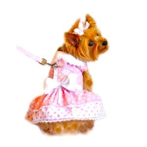 Pink polka dot pet dress